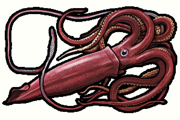 Kraken onion link